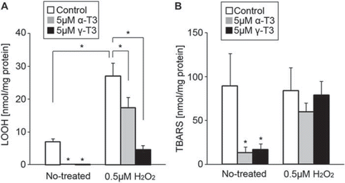 Figure 2. Analysis of lipid peroxidation. CGCs were treated with 0.5 μM hydrogen peroxide in the presence or absence of α-tocotrienol (5 μM) or γ-tocotrienol (5 μM). After 24 h, the cells were collected and measured to determine the index of lipid peroxidation (LOOH is shown in (A), TBARS is shown in (B)). Both oxidized markers were evaluated per mg protein in samples. Each column represents the mean of results of five independent experiments. Data were analyzed by Student's t-test, with findings of p < 0.01 considered significant.