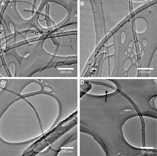Figure S1 TEM images of typical N-MWCNTs before (A and B) and after (C and D) acid treatment.Notes: Most particles attached to the nanotubes surface were eliminated with the acid treatment. Note in (D) a small protuberance that possibly contained a metallic nanoparticle (arrow).Abbreviations: TEM, transmission electron microscopy; N-MWCNTs, nitrogen-doped multiwalled carbon nanotubes.