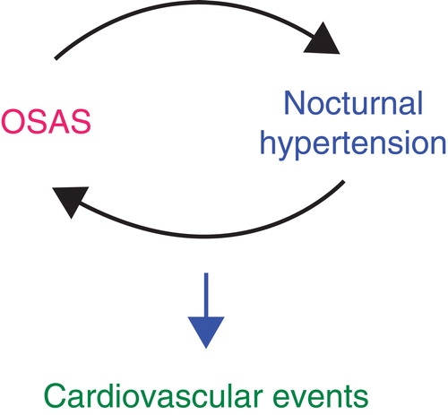 Figure 2. A schematic link between OSAS and nocturnal hypertension leading to cardiovascular events.