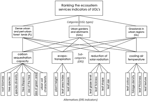 Figure 5. Hierarchical structure of UGL types, ER, and ER indicators.