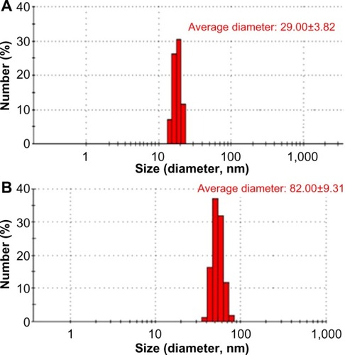 Figure 5 Particle-size distributions of GNP (A) and GNP–Her (B) measured by DLS.