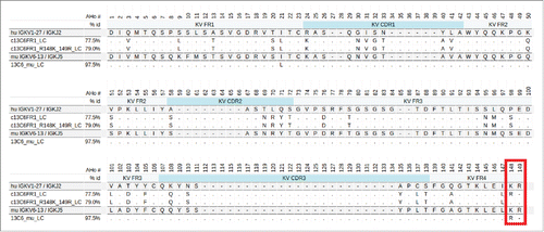 Figure 1. Alignment of three 13C6 variable light regions, 13C6mu, c13C6FR1 and c13C6FR1_R148K_149R. The murine version is aligned to the closest murine germline whereas the human versions are aligned to the closest human germline. The C-terminal region of interest, AHo positions 148 and 149, is boxed in red.