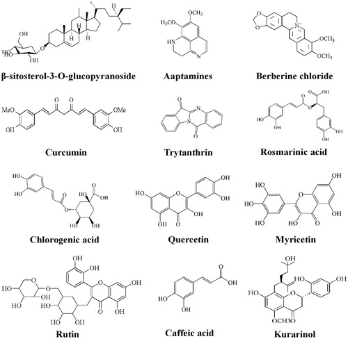 Figure 5. Structures of S. aureus SrtA inhibitors.