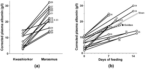 Figure 3. The corrected albumin concentrations measured in children with kwashiorkor (a) compared to children with marasmus in 12 studies, and (b) before and after feeding in 10 studies, four of which tested two different milks. Golden’s study detailed in Figure 2 is shown by filled circles and a broken line in graph (b), and the other lines are identified by the text references.