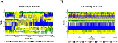 Figure 16. Secondary structure of GeXIVA[1,2] in a molecular simulation system: (A) GeXIVA[1,2]-PLGA system; (B) GeXIVA[1,2]-trehalose-PLGA system.