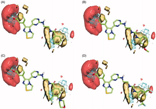 Figure 8. Flap® 3 D-QSAR model generated for the V600E-B-RAF compounds; (A) alignment of the most potent compound 1zb, (B) alignment of compound 1b, (C) alignment of compound 1z, (D) alignment of compound 1t. The GRID molecular interaction fields are shown as; cyan (Shape), yellow (hydrophobic) and red (HBA).