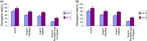 Figure 2. Clonogenic assay of OS cell lines. (A) Clonogenic rate of OS732 cell line. (B) Clonogenic rate of MG63 cell line.