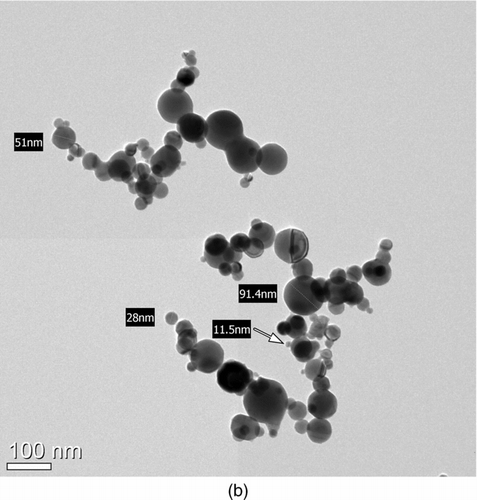 FIG. 7 Morphology of metal nanopowders manufactured by the wire electrical explosion process. The sampling was conducted downstream of the evaporation chamber; (a) SEM image; (b) TEM image.