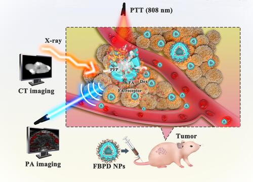 Figure 1 Schematic illustration of the multipurpose nanoplatform for availably CT/PA imaging-guided combination therapy to tumor cells/tissue.