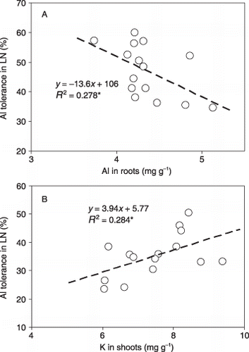 Figure 6   (A) Relationship between Al tolerance in the low-nutrient (LN) solution and Al concentration in the roots or (B) between Al tolerance and K concentration in the shoots for sorghum in long-term culturing. Al tolerance in LN was calculated as the ratio of growth in LN under high-Al conditions to that in LN. *P < 0.05.