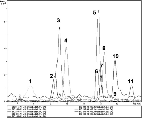 Figure 12. Extracted ion electropherograms in CE-DAD-MS analysis of mixture of the analyzed compounds (concentration of each 50 lM) in the optimum BGE conditions (pH 9.5, 40 mM ammonium acetate, 40% ACN); 1–rhamnetin, 2–quercetin, 3–apigenin, 4– luteolin, 5–emodin, 6– xanthopurpurin, 7–morin, 8–alizarin, 9–gallic acid, 10–purpurin, 11– carminic acid; separation conditions: capillary voltage, +25 kV; temperature, 25 °C; hydrodynamic injection, 25 mbar during 10 s; capillary, id 50 μm, od 375 μm, 75.0 cm total length, 20.0 cm to the DAD; sheath liquid flow-rate (MeOH/H2O, 1:1, v/v) 5 μL/min.[Citation46]