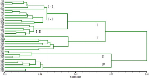 Figure 4. Dendrogram of 44 accessions of C. maxima based on RAPD analysis. The accessions correspond with the designations listed in Table 1.