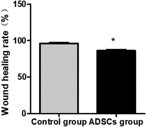 Figure 8. Statistical graph of the wound healing rate between the two groups.*P < 0.05.