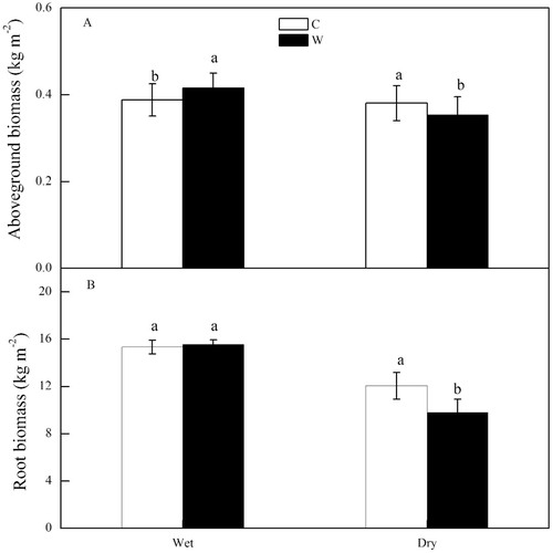 FIGURE 6. Warming effects on above-ground biomass (AGB) and root biomass (RB, 0–50 cm soil depth) in wet and dry conditions. Values are the average of four replicates in dry and six replicates in wet from May to September 2012. Different labels above columns indicate the significant difference at the P < 0.05 level.