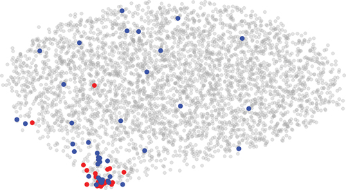 Figure 2. Word clusters (40 words) around the terms “foe” (red) and “write” (blue) in a word embedding map of Coetzee’s Foe.Footnote20