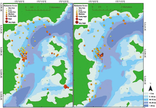 Fig. 9  Spatial distribution of relative species richness, all substrata (left), muds (right).