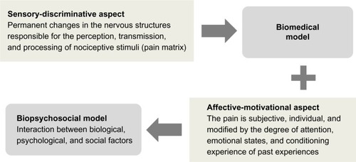Figure 1 Mechanisms responsible for chronic pain. The interaction between permanent changes in the nociceptive system and individual psychosocial factors.