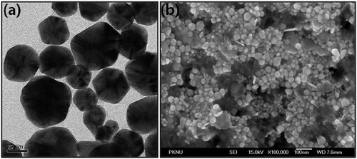 Figure 2. (a) TEM and (b) FE-SEM image of Synthesized AP-AuNPs.