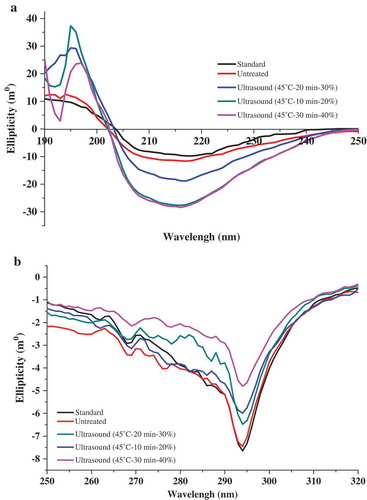 Figure 6. CD spectroscopy of untreated and ultrasound-treated β-Lactoglobulin. (a) The far UV-CD spectra of untreated and ultrasound-treated β-Lactoglobulin (0.05%, ω/v), (b) the near UV-CD spectra of untreated and ultrasound-treated β-Lactoglobulin (1%, ω/v).Figura 6. Espectroscopía CD de β-lactoglobulina sin tratamiento y con tratamiento de ultrasonido. (a) Espectro UV-CD lejano de β-lactoglobulina sin tratamiento y con tratamiento de ultrasonido (0.05%, ω/v), (b) Espectro UV-CD cercano de β-lactoglobulina sin tratamiento y con tratamiento de ultrasonido (1%, ω/v).