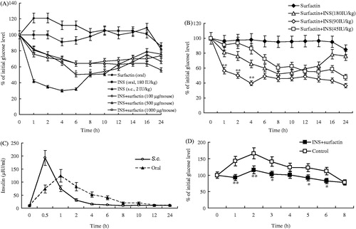 Figure 5. Oral hypoglycemic effects of INS plus surfactin in diabetic mice. (A) Mice orally treated with INS (180 IU/kg) plus different doses of surfactin (100, 500 and 1000 μg per mouse, respectively). (B) Mice orally treated with different doses of INS (180, 90 or 45 IU/kg) plus surfactin (100 μg/mouse). (C) Serum INS levels over time after oral INS (90 IU/kg) plus surfactin (100 μg/mouse) in diabetic mice. (D) OGGT for orla INS (90 IU/kg) plus surfactin (100 μg/mouse). Reported results are means ± SEM of 6 (A & B) or 12 (C & D) mice.