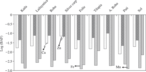 Figure 2. Bio-accumulation factors of elements in fish species.