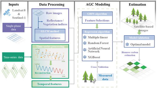 Figure 2. Methodology workflow for modeling forest AGC with L8 and S1 time-series data.
