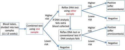 Figure 1. Flowchart of reflex DNA screening protocol (adapted from Wald et al., Genet Med) [Citation2].