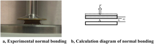Figure 8. Numerical and physics experiment model of viscous debris flow.
