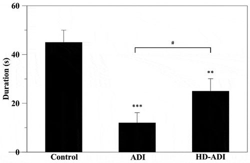 Figure 9. Learning and memory ability of rats by Morris water maze test. The times of spatial retention in the section with the hidden platform during the probe trial (n = 6). The time spent by rats of the HAP-DPZ group in the section with the hidden platform was much lower compared with that of rats of the AD group. (*** is p < 0.001 comparing to control, ** is p < 0.01 comparing to control, # is p < 0.05 comparing to ADI)