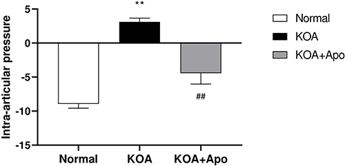 Figure 1 Effect of acupotomy on intra-articular pressure. The mean resting pressure in each knee. **P < 0.01 vs the Normal group. ##P < 0.01 vs the KOA group.