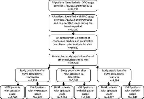 Figure 1. Selection of study cohorts. AF, Atrial fibrillation; NVAF, Non-valvular atrial fibrillation; OAC, Oral anticoagulant; PSM, Propensity score matching.