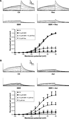 Figure 4 Pharmacological rescue of hERG current inhibited by BBR.