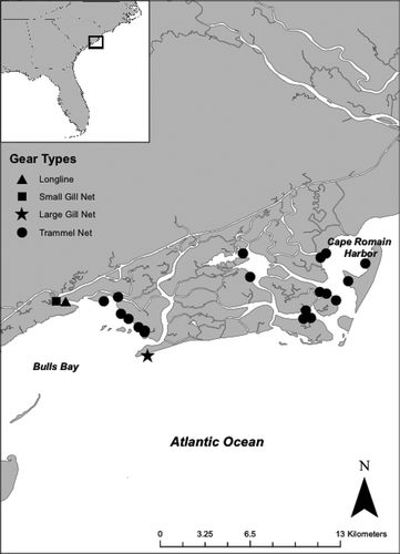 Figure 1. Map of sampling locations in Bulls Bay, South Carolina, and surrounding waters. Samples were collected via gill nets and longlines through the Cooperative Atlantic States Shark Pupping and Nursery (COASTSPAN) survey and via trammel nets through the South Carolina Department of Natural Resources estuarine finfish survey.