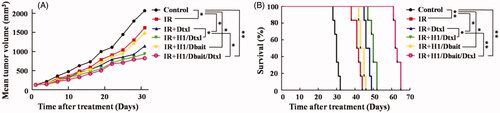 Figure 5. NP H1/Dbait/Dtxl improved the efficiency of radio-chemotherapy of CRPC in vivo. (A) Tumour growth curves of mice bearing PC-3-xenograft tumours. (B) Survival curves of mice bearing PC-3-xenograft tumours. *p < .05, **p < .01, n = 6.