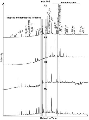 Figure 8. m/z 191 ion chromatograms of the saturated hydrocarbon fraction of the surficial sediment samples showing the terpane, including hopane, distributions. The grey shading highlights the key compounds used to calculate the diagnostic ratios in Table 4.