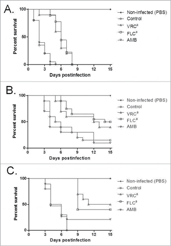 Figure 4. Effects of antifungal treatments on cumulative mortality of G. mellonella larvae infected with T. asahii strain 07 (A), T. asteroides strain 01 (B) or T. inkin (C). Single doses of antifungal drugs were administered 4 hours after infection in a volume of 10 μl. Control groups received 10 μl of PBS 4 hours postinfection. Drug concentrations were: AMB, amphotericin B deoxycholate at 0.5 mg/kg; FLC, Fluconazole at 20 mg/kg; and VRC, voriconazole at 15 mg/kg (a, P < 0.05 versus control and amphotericin B).