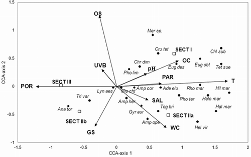 Fig. 8. CCA of nine environmental variables and 24 MPB species (all variables were multiplied by two). The amount of variation accounted for by axes 1 and 2 was 85% (axis 1: 51%, axis 2: 34%). The lengths of the arrows represent the relative importance of different variables in explaining MPB distributions, while the angles of the arrows relative to the axes and to other variables indicate the strength of their correlations. Abbreviations: GS: median grain size, OC: organic matter content, OS: oxygen saturation, PAR: photosynthetic active radiation, pH: pH, POR: porosity of sediment, SAL: salinity, SECT I, IIa, IIb and III: sections of the transect (defined by their median grain sizes), UVB: UV radiation, WC: water content. Species identification: Ade elu: Adenoides eludens, Ana tor: Anabaena torulosa, Amp cor: Amphidinium corpulentum, Amp her: A. herdmanii, Amp ope: A. operculatum, Chl sub: Chlorococcum submarinum, Chr dim: Chroococcus dimidiatus, Cru tet: Crucigenia tetrapedia, Eug des: Euglena deses, Eug obt: E. obtusa, Gyr aur: Gyrodinium aureolum, Hal mar: Halochloris marinum, Halo mar: Halochlorococcum marinum, Hel vir: Hemiselmis virescens, Hil mar: Hillea marina, Lyng aes: Lyngbya aestuarii, Mer sp.: Merismopedia sp., Mic cht: Microcoleus chthonoplastes, Pho lim: Phormidium limosum, Pho ter: P. terebriforme, Rho mar: Rhodomonas marina, Tet sue: Tetraselmis suecica, Tog bri: Togula britannica, Tri var: Trichormus variabilis.