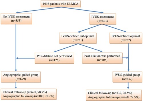 Figure 1 Study flow chart.