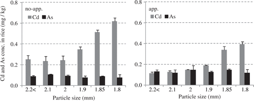 Figure 1. Effect of application of molasses on cadmium (Cd) and arsenic (As) concentrations in rice grain among different particle sizes.