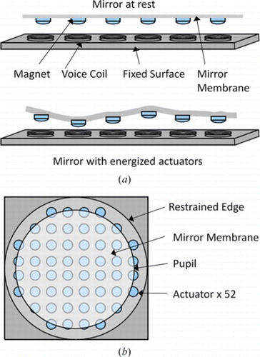 Figure 3 An electromagnetic-based deformable mirror where the actuators are formed by small magnets and micro DC voice coils: (a) Current in each coil creates an electromagnetic attraction/repulsion with the corresponding magnet. (b) Several of the total (52) actuators are outside of the pupil to minimize the effect of the restrained edge. (Figure is provided in color online.).