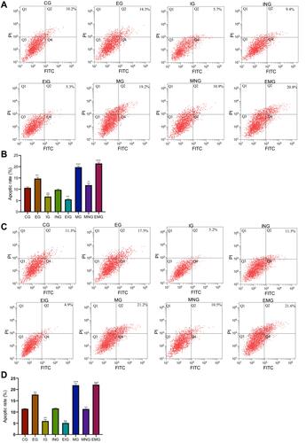 Figure 7 The effects of miR-659-3p siRNA and mimic, and or β-Caryophyllene treatment on the apoptotic levels in NSCLC cells. (A) The effects of miR-659-3p siRNA and mimic, and or β-Caryophyllene treatment on apoptotic levels in NSCLC cell lines A549. (B) Different apoptotic levels among different groups in NSCLC cell lines A549. (C) The effects of miR-659-3p siRNA and mimic, and or β-Caryophyllene treatment on apoptotic levels in NSCLC cell lines NCI-H1299. 40 μM of β-Caryophyllene showed the highest inhibitory effects on NSCLC growth and used in the subsequent experiment. (D) Different apoptotic levels among different groups in NSCLC cell lines NCI-H1299. All experiments were performed in triplicate. *P<0.05, **P<0.01 and ***P<0.001 vs the CG group.