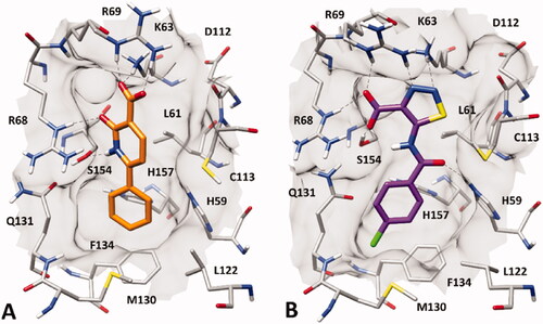 Figure 2. Minimised average structures of (A) compound VS1 (orange) and (B) compound VS2 (purple) in complex with PIN1. The protein residues surrounding the ligands, constituting the binding site, are shown as grey sticks, while hydrogen bonds are showed as black dashed lines. The surface of the protein binding site in the surrounding of the ligands is also shown.