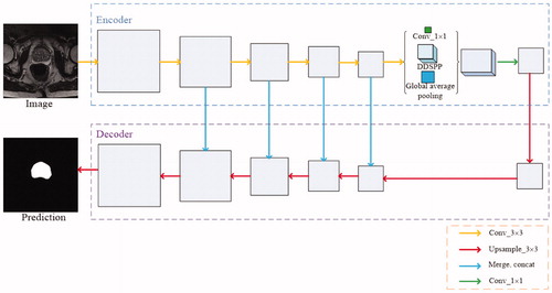 Figure 4. Network architecture. We input a prostate image to the encoder which based on ResNet-101 to extract multiscale semantic information by applying DDSPP. And followed by a valid decoder module refines the segmentation results along prostate boundaries.