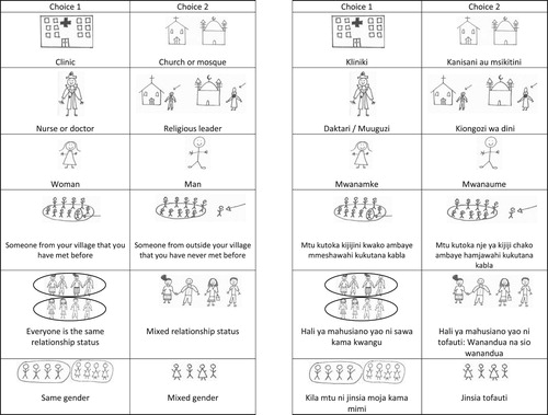 Figure 1. Sample choice task