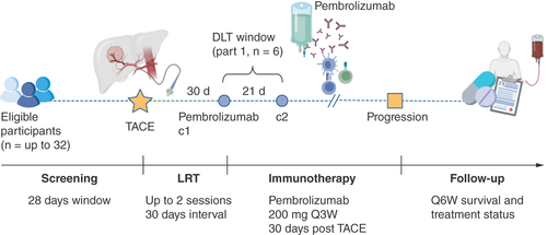 Figure 1. Study flowchart.DLT: Dose-limiting toxicity; LRT: Locoregional therapy; Q3W: Every 3 weeks; Q6W: Every 6 weeks; TACE: Transarterial chemoembolization.