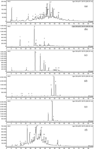 Figura 4. Cromatogramas HPLC-DAD de las fracciones separadas por cromatografía en gel. Figure 4. Chromatograms HPLC-DAD of fractions separated by gel chromatography.