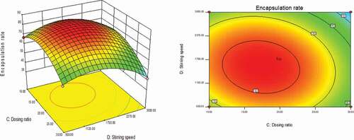 Figure 6. Curved surface effect diagram of the influence of stirring speed and dosing ratio on the encapsulation efficiency