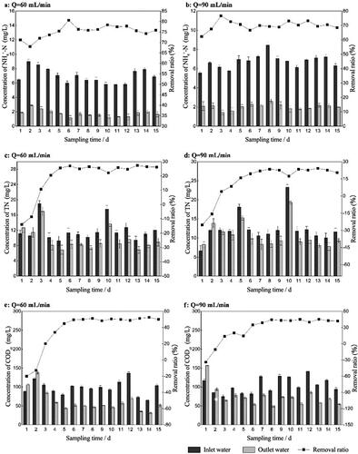 Figure 4. The concentration and removal ratios of different pollutants in the bio-enhancement group under different aeration rate (abbreviated as Q). (a) NH4+-N, Q was 60 mL·min −1. (b) NH4+-N, Q was 90 mL·min −1. (c) TN, Q was 60 mL·min −1. (d) TN, Q was 90 mL·min −1. (e) CODCr, Q was 60 mL·min −1. (f) CODCr, Q was 90 mL·min −1.