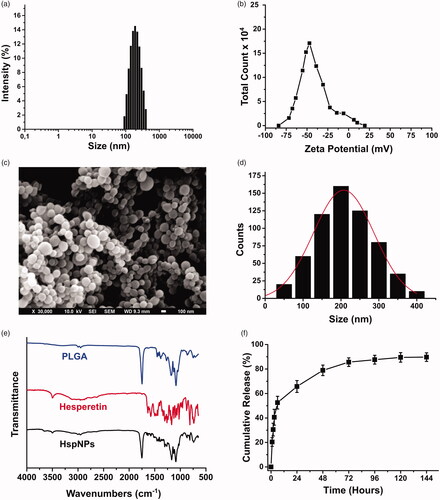 Figure 1. Detailed characterization of HspNPs. Particle size distribution (a) and zeta potential (b) analysis of nanoparticles as obtained by Zetasizer. SEM image (c) and particle size distribution (obtained from SEM) with Gaussian fit (d) of HspNPs, FT-IR analysis of PLGA , Hsp and HspNPs (e), Cumulative release of Hsp form HspNPs (f).