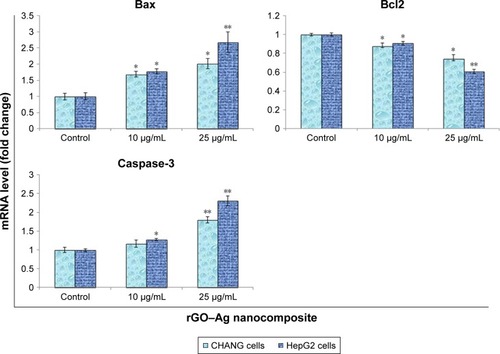 Figure 9 Quantitative real-time PCR analysis of mRNA levels of apoptotic genes in CHANG and HepG2 cells exposed to rGO–Ag nanocomposite for 24 h.Notes: Results are expressed as average±SE of triplicate experiments. *p<0.05 and **p<0.01 compared to control.Abbreviations: rGO–Ag, silver-doped reduced graphene oxide; PCR, polymerase chain reaction; SE, standard error.